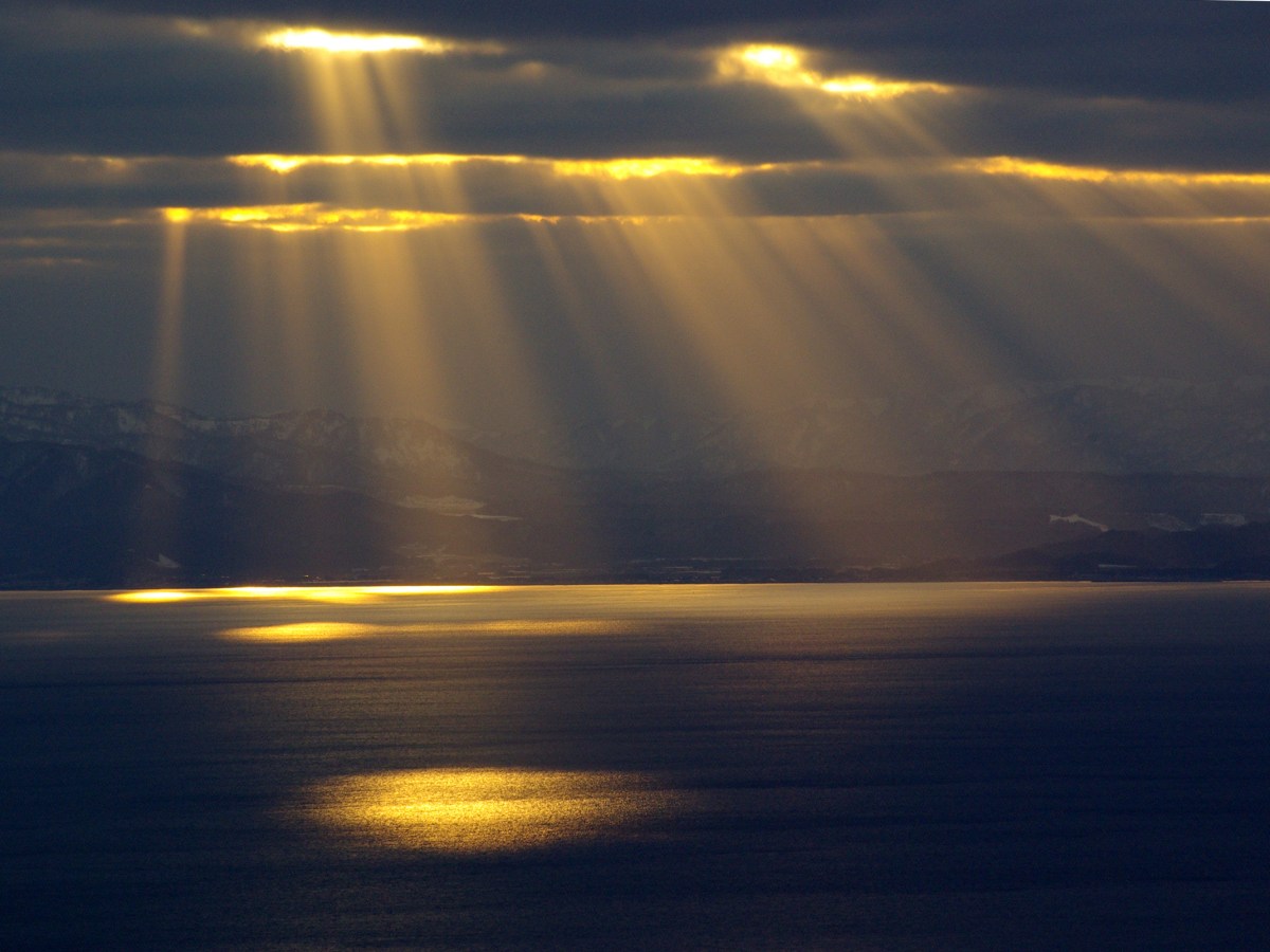 Halı Canavarının Son&nbsp;Arzusu